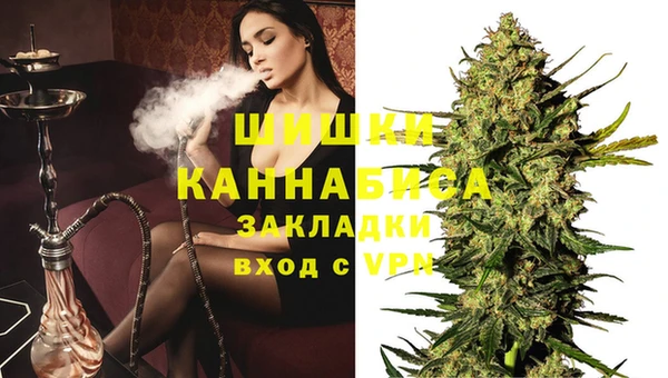 PSILOCYBIN Абаза