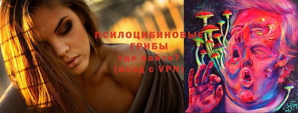 PSILOCYBIN Абаза