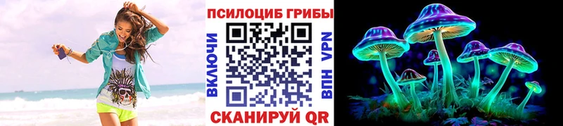 Галлюциногенные грибы Psilocybe  kraken зеркало  Торопец 